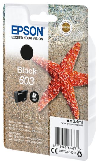 Immagine di Epson Singlepack Black 603 Ink