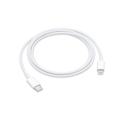 Immagine di MQGJ2ZM/A CAVO LIGHTNING A TYPE-C 1M