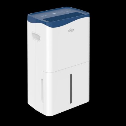 Immagine di DRYPURYEVOWF41 DEUMIDIF 41LT. DRY PURY EVO WF 41  CON PURIFICATO