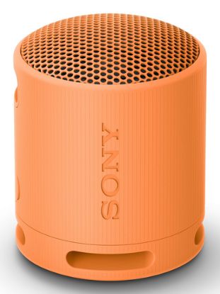 Immagine di Sony SRS-XB100 - Speaker Wireless Bluetooth, portatile, leggero, compatto, da esterno, da viaggio, resistente IP67 impermeabile e antipolvere, batteria da 16 ore, cinturino versatile, chiamate in vivavoce – Arancio