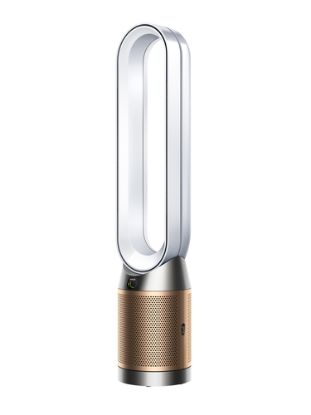 Immagine di Dyson Purificatore Purifier Cool PC2 De-Nox