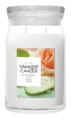 Immagine di Yankee Candle Blooming Love candela di cera Rotondo Legnoso, Muschio Bianco 1 pz
