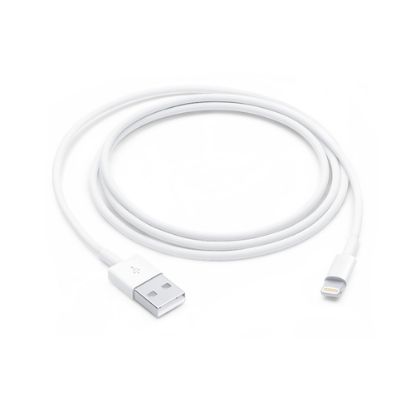 Immagine di Apple Cavo da Lightning a USB (1 m)