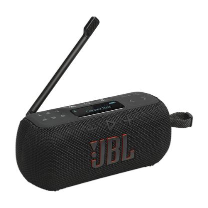 Immagine di JBL TUNER 3 Portatile Analogico e digitale Nero
